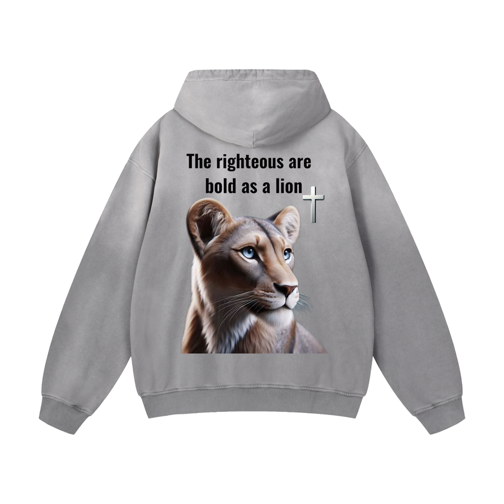 Heavyweight Sunfade Oversized Hoodie