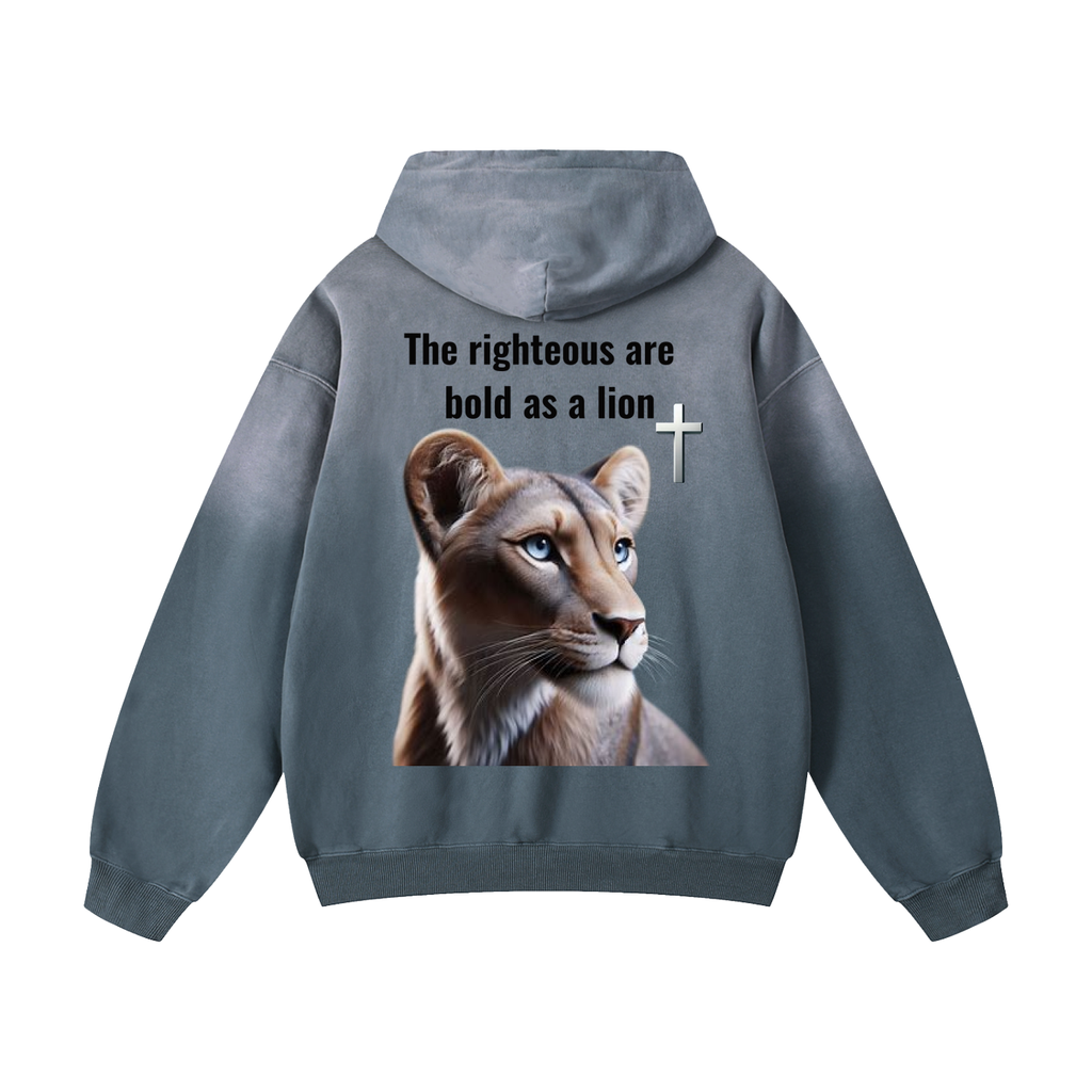 Heavyweight Sunfade Oversized Hoodie