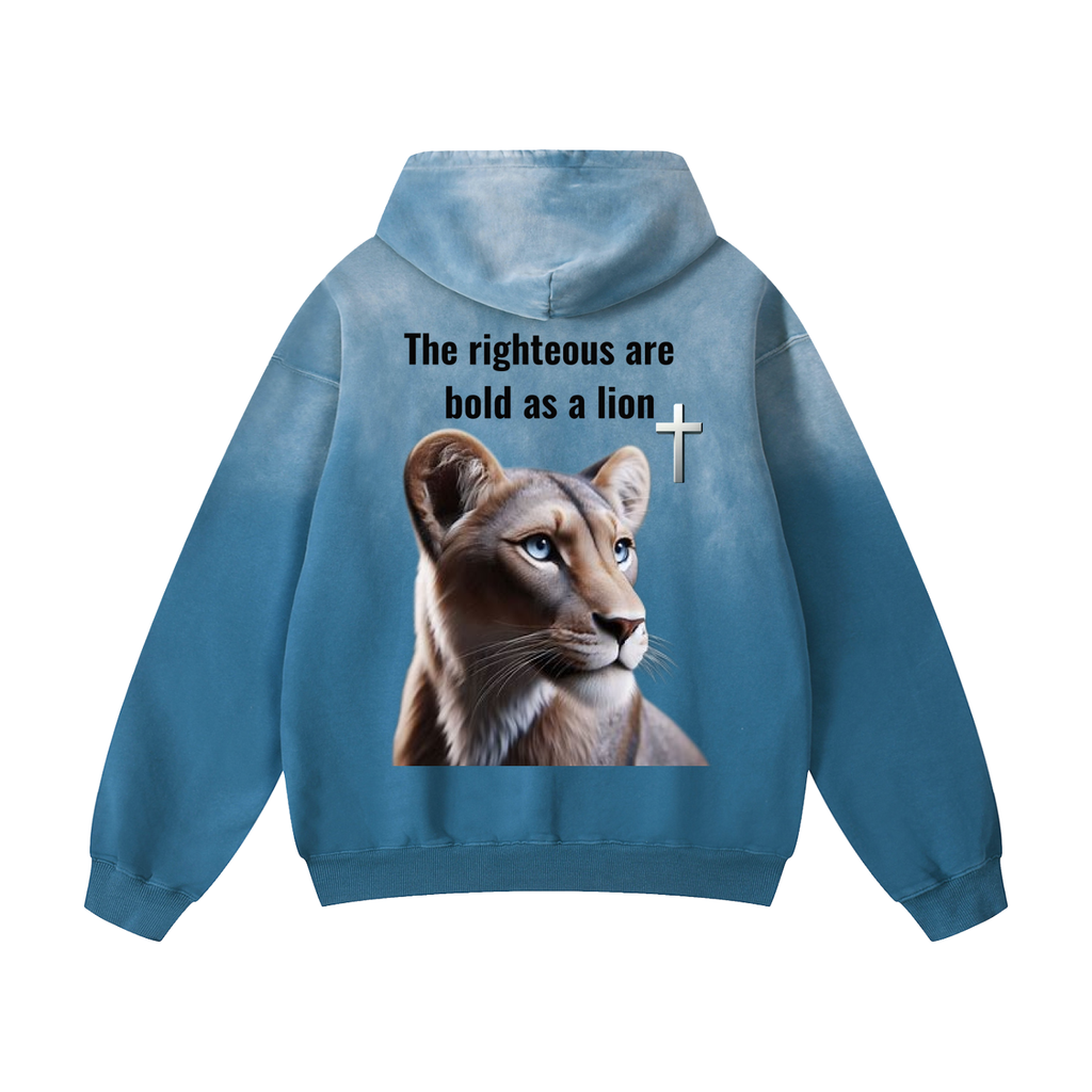 Heavyweight Sunfade Oversized Hoodie