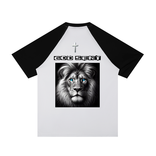 Contrast Raglan Sleeve Mesh T-Shirt