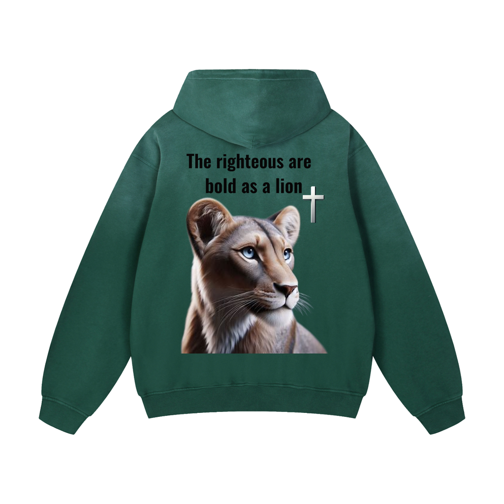 Heavyweight Sunfade Oversized Hoodie