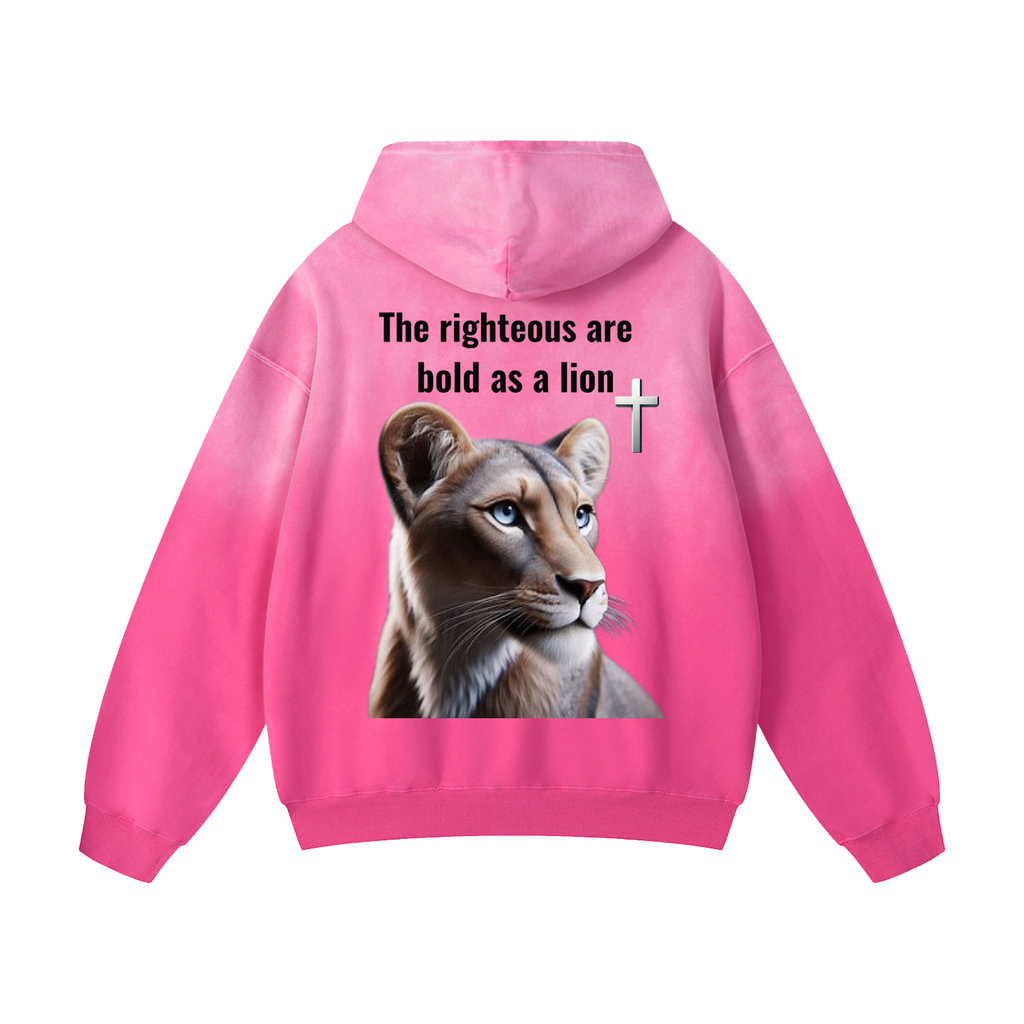 Heavyweight Sunfade Oversized Hoodie